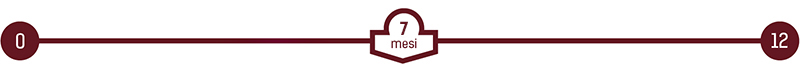 7-12MESI